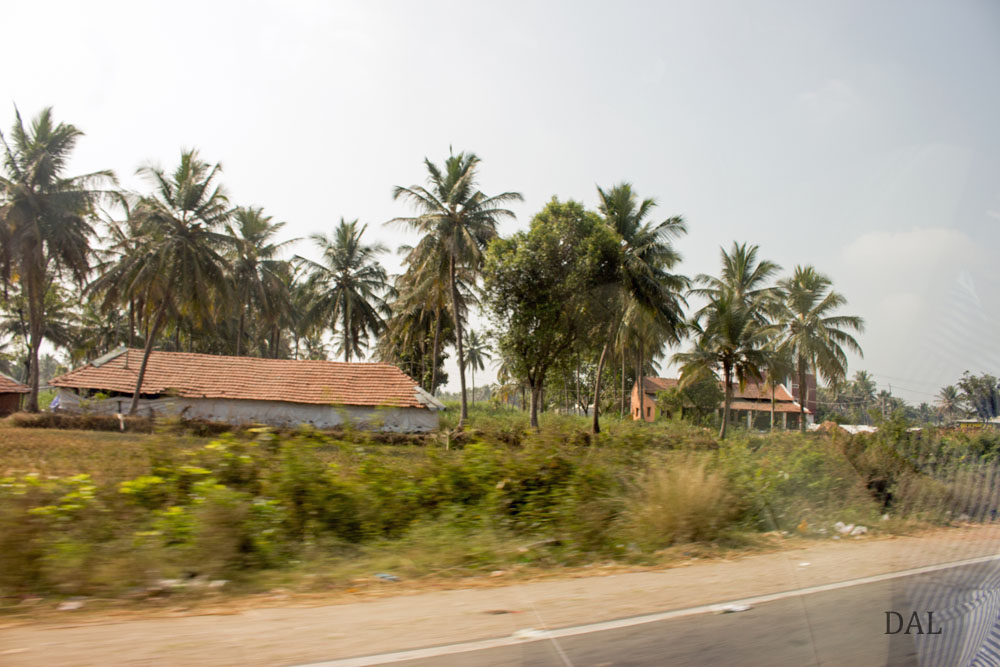2015_01_India_08_road to Mysore_031