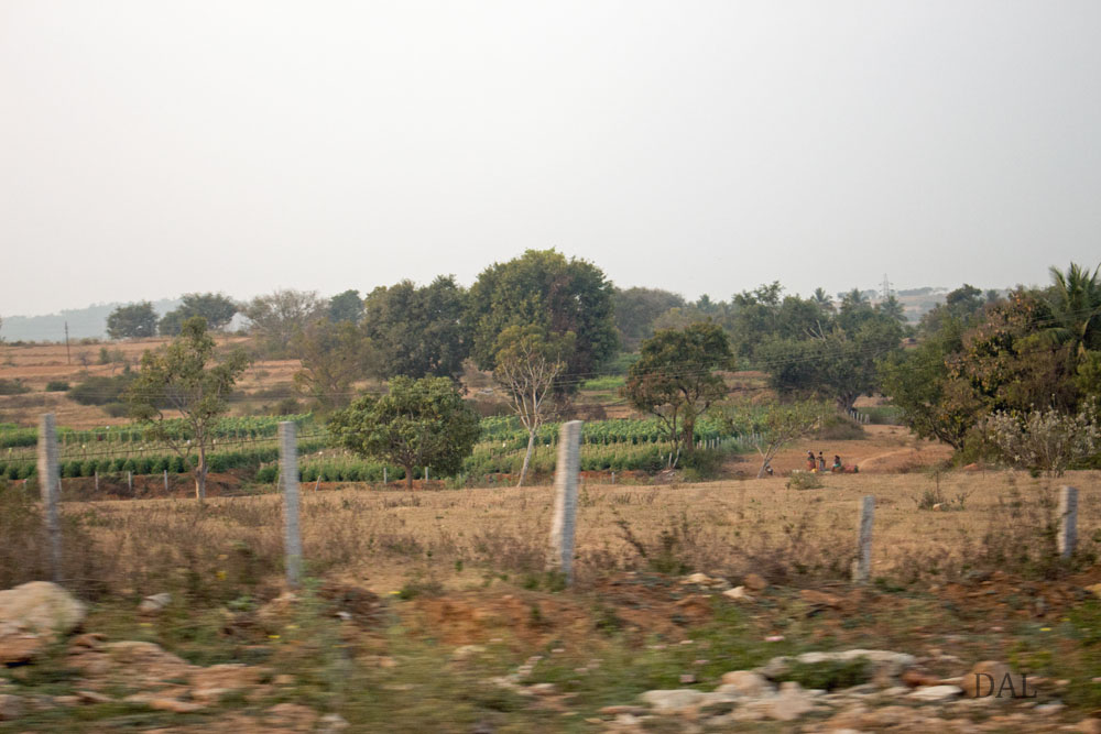 2015_01_India_08_road to Mysore_050