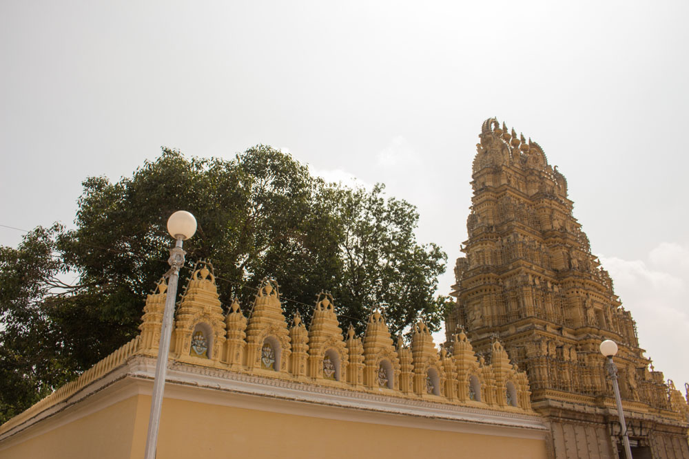 2015_01_India_09_Mysore_palace_034
